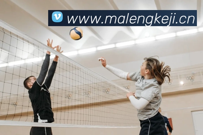 App Interface Preview